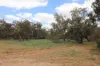 'East Gathan'/509 Gathan Road, Deniliquin NSW 2710-Image