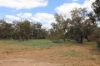 'East Gathan'/509 Gathan Road, Deniliquin NSW 2710-Image