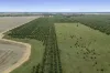 . Echuca Serpentine Road, Serpentine, Vic 3517-Image