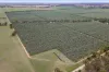 . Echuca Serpentine Road, Serpentine, Vic 3517-Image