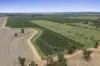 . Echuca Serpentine Road, Serpentine, Vic 3517-Image