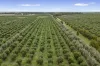 . Echuca Serpentine Road, Serpentine, Vic 3517-Image