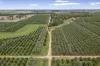 . Echuca Serpentine Road, Serpentine, Vic 3517-Image