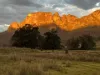 Emu Creek Rd, Widden, NSW 2328-Image