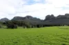 Emu Creek Rd, Widden, NSW 2328-Image