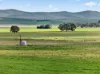 'Farrell Flat Block' Booborowie Road, Farrell Flat, SA 5416-Image