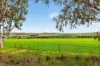 'Farrell Flat Block' Booborowie Road, Farrell Flat, SA 5416-Image