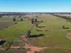 'Fernleigh' 882 Womboyne Rd, West Wyalong, NSW 2671-Image