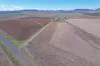 Forest Plain Road, Allora, Qld 4362