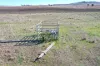 Forest Plain Road, Allora, Qld 4362-Image