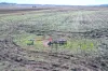 Forest Plain Road, Allora, Qld 4362-Image