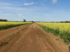 Former Bindoon Agricultural College, Bindoon, WA 6502-Image