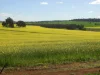 Former Bindoon Agricultural College, Bindoon, WA 6502-Image