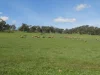 Former Bindoon Agricultural College, Bindoon, WA 6502-Image