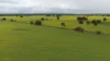 Former, Bindoon WA 6502-Image
