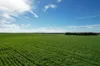 'Gleesons' Allotment Marion Bay Road, White Hut, SA 5575-Image