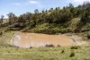'Glen Avon' 45 Eddington Road, Bagdad, Tas 7030-Image