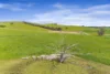 Glendhu road, Crowlands, Vic 3377-Image