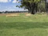 'Glenhurst' 4448 Tarwoona Road, Twin Rivers, NSW 2410-Image