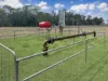 'Glenhurst' 4448 Tarwoona Road, Twin Rivers, NSW 2410-Image