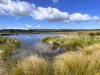 "Glenroy" 165 Bald Hills Road, Grenfell, NSW 2810-Image