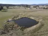 "Glenroy" 165 Bald Hills Road, Grenfell, NSW 2810-Image