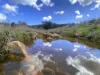 "Glenroy" 165 Bald Hills Road, Grenfell, NSW 2810-Image