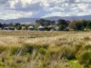 "Glenroy" 165 Bald Hills Road, Grenfell, NSW 2810-Image