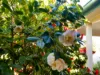 "Glenroy" 165 Bald Hills Road, Grenfell, NSW 2810-Image