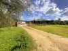 "Glenroy" 165 Bald Hills Road, Grenfell, NSW 2810-Image