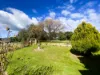 "Glenroy" 165 Bald Hills Road, Grenfell, NSW 2810-Image