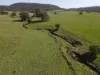 "Glenroy" 165 Bald Hills Road, Grenfell, NSW 2810-Image