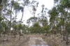 "Goat Gully/Old Hut Hill" Lemont Road, Lemont, Tas 7120-Image