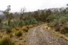 "Goat Gully/Old Hut Hill" Lemont Road, Lemont, Tas 7120-Image