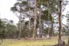 "Goat Gully/Old Hut Hill" Lemont Road, Lemont, Tas 7120-Image