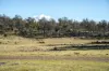 "Goat Gully/Old Hut Hill" Lemont Road, Lemont, Tas 7120-Image