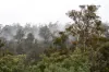"Goat Gully/Old Hut Hill" Lemont Road, Lemont, Tas 7120-Image
