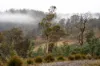 "Goat Gully/Old Hut Hill" Lemont Road, Lemont, Tas 7120-Image