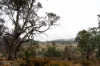 "Goat Gully/Old Hut Hill" Lemont Road, Lemont, Tas 7120-Image