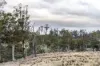 "Goat Gully/Old Hut Hill" Lemont Road, Lemont, Tas 7120-Image