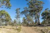 "Goat Gully/Old Hut Hill" Lemont Road, Lemont, Tas 7120-Image