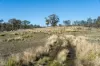 "Goat Gully/Old Hut Hill" Lemont Road, Lemont, Tas 7120-Image