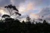"Goat Gully/Old Hut Hill" Lemont Road, Lemont, Tas 7120-Image