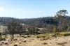"Goat Gully/Old Hut Hill" Lemont Road, Lemont, Tas 7120-Image