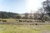 "Goat Gully/Old Hut Hill" Lemont Road, Lemont, Tas 7120-Image
