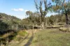 "Goat Gully/Old Hut Hill" Lemont Road, Lemont, Tas 7120-Image