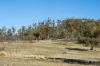 "Goat Gully/Old Hut Hill" Lemont Road, Lemont, Tas 7120-Image
