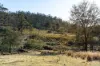 "Goat Gully/Old Hut Hill" Lemont Road, Lemont, Tas 7120-Image