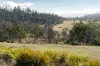 "Goat Gully/Old Hut Hill" Lemont Road, Lemont, Tas 7120-Image