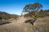 "Goat Gully/Old Hut Hill" Lemont Road, Lemont, Tas 7120-Image